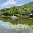 영일만검은돌장어 이미지