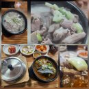 비채원 | [채원순대국] 청주 봉명동 솥밥 주는 국밥 맛집 후기