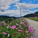 일직면행정복지센터 이미지