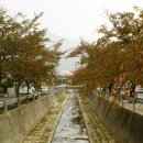 덕산성당 앞 이미지