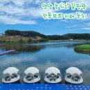 남대천둔치 화장실 | 양양 가볼만한곳 놀거리 끝판왕! 애견동반·주차완비된 전동보트 카페 둔치