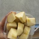 (주)사조랜더텍 | 우린 완벽한 파트너 • 오키나와 1편