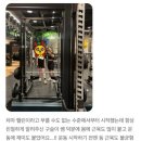 바디랩그룹트레이닝&PT 이미지