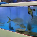 구룡포식당 이미지