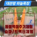 가을목장 | 강원도 대관령 하늘목장 후기ㅣ가을에 꼭 가봐야 할 여행지 추천