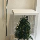 꽃집 | 강남 역삼 꽃집 추천 마르치크플라워 후기:)