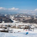 알펜시아리조트 이미지