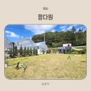 다원농장 | 대구 진밭골 팜다원 체험농장 이용 후기 Ι 40개월아이와함께
