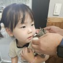 칠곡동물체험카페 네이버블로그