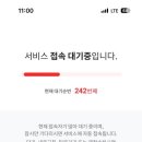 프로브커피