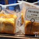 요유 이미지