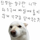 촛불가족님들~ 8월, 여름 잘보내세요 이미지