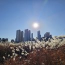 태평식당 이미지