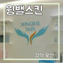 윙밸스킨