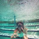 어푸어푸 이미지