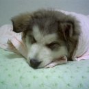 새로나 슈퍼 이미지