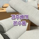 일자목 거북목 온수움 경추베개 내돈내산 일주일 사용 후기