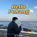 더 펫 애견샾 | 포항애견동반펜션 풀글램핑&amp;펫글램핑 오션뷰 G3 객실 후기