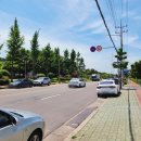 하대동145 이미지