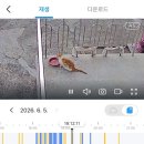 샌드위치만 먹다가 끝나는 거 같은데