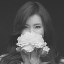 모노스케일