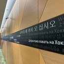 쇼팡 - 동대문구 | [맛따라 길따라 먹보상자] 삿포로 맛집 추천 모츠나베 먹으러 간 하카타 모츠나베 교자야 603