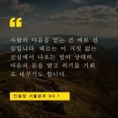 인셀덤매니아