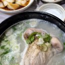 원조삼계탕집 | 진주문산 오래된 삼계탕집 원조성심삼계탕 솔직후기