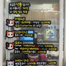 설렘고양이카페 이미지
