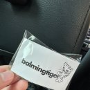 딜리버리랩 | 2026 첫 공연! 바밍타이거 조이풀 딜리버리 후기