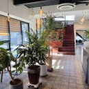 카페리코 이미지