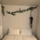 미드나잇코티지 이미지