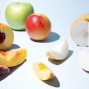 당뇨병엔 사과·배처럼 단단한 과일 먹어야 이미지