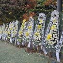 성남시청앞 인도 이미지