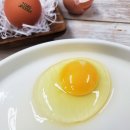 대섬알이랑 이미지