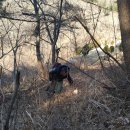 정화목장 이미지