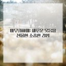 희망을심는치과의원 | 잃어버린 자신감을 되찾아 준, 김포치과에서의 임플란트 경험담