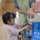🍓 팥빙수 만들기 이미지