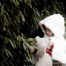 스튜디오아이디 이미지