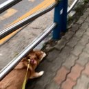 감자동물병원 이미지