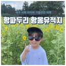 항몽유적지 이미지