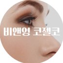 비앤영 코젤코 어떤지 알려드려요 - 자가연골, 장점, 후기들 등등