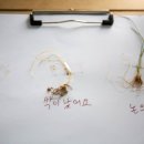 미애농장 이미지