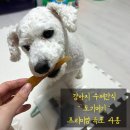 도기머기 | 강아지 수제간식 '도기머기' 프리미엄 육포 4종세트