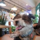 연지다방 이미지