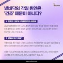 레푸스 두류점 이미지