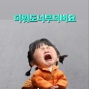 심쿵해~~~해 이미지