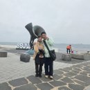 성원분식 이미지