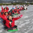 속리초등학교 이미지
