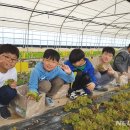 태인농촌체험휴양마을 이미지